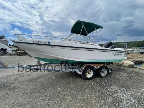 Boston Whaler Ventura 20 Spesifikasjoner og anmeldelser